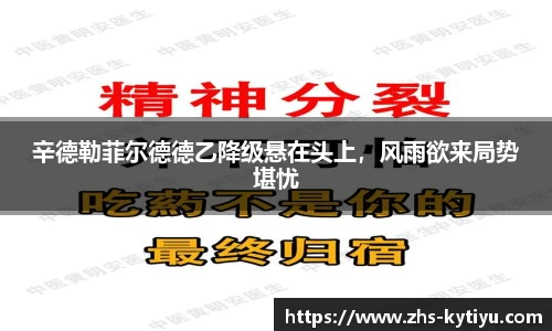 开云体育官网平台